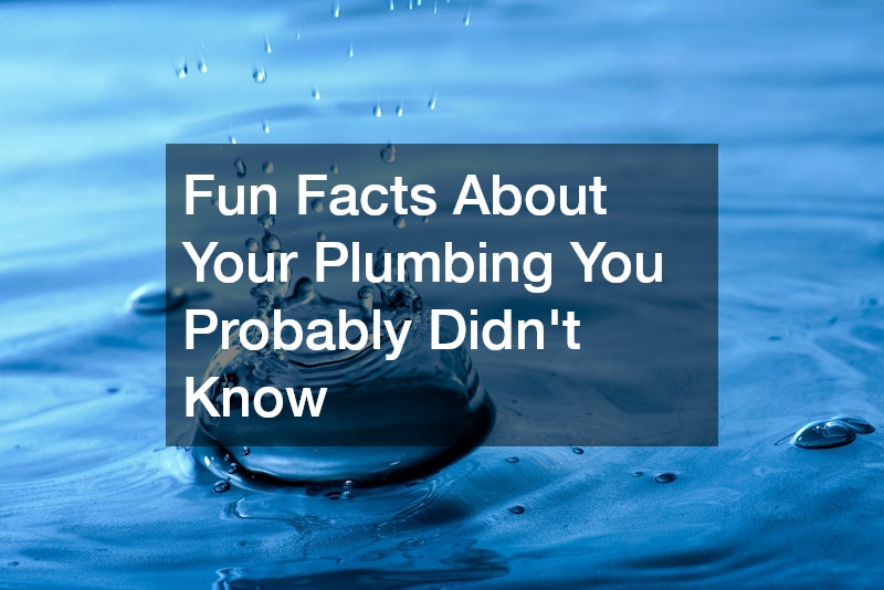 Fun Facts About Your Plumbing You Probably Didnt Know